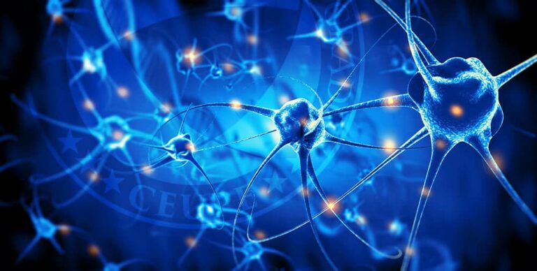 Neurociencia ¿Para qué sirve y cómo puede aplicarse?