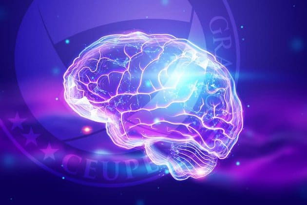 Neurociencia ¿Qué Es Y Para Qué Sirve? - MBA Y Máster Online - CEUPE